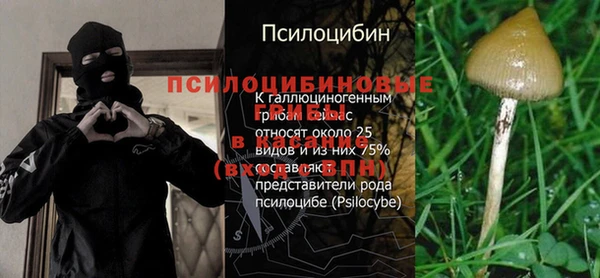 героин Абаза