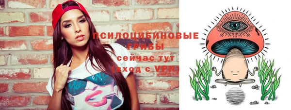 гашик Алзамай