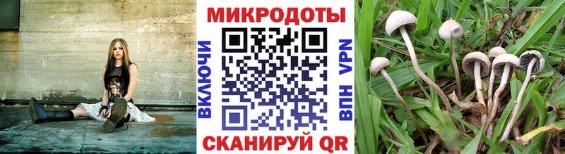 где продают наркотики  Астрахань  Псилоцибиновые грибы ЛСД 